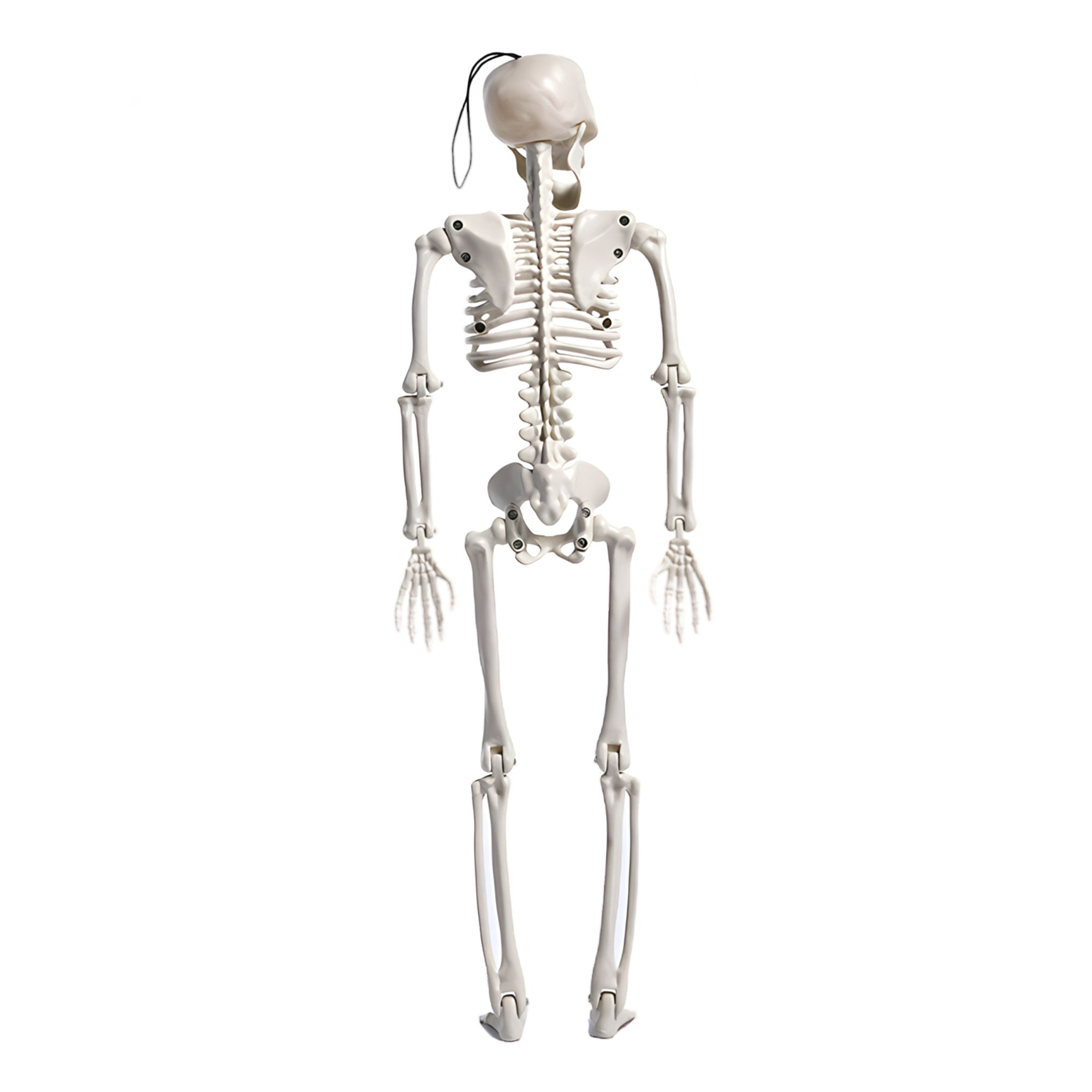 Accesorio Skull - My Rebel Shop